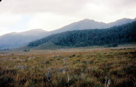 Mount Bowes from Sandfly Creek