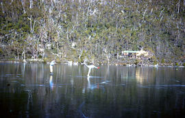 Skating on Lake Dobson