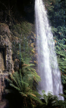 Marriotts Falls