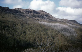 View of Mount Mawson from Florentine Peak saddle