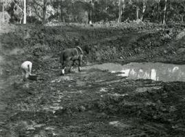 Excavation with horse power