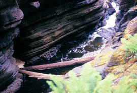 Water flowing in base of Leven Canyon