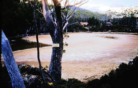 Bed of Eagle Tarn