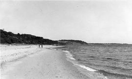 Beach scene