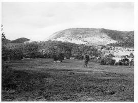 Cleared land with hills behind