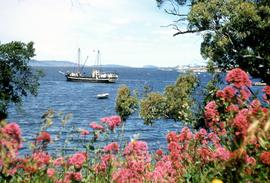 Auxiliary Ketch Argonaut off Powder Jetty 1957