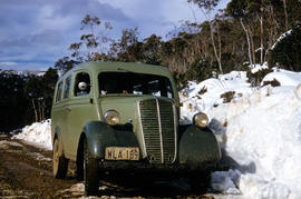 Vehicle on road at National Park