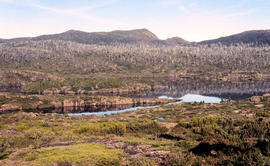 Shoreline of Lake Chalice 1979