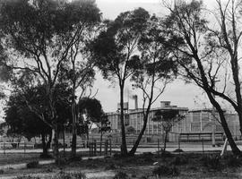 Cadbury Factory with Gum Trees