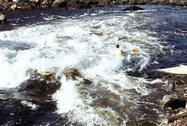 Paddling on Derwent River