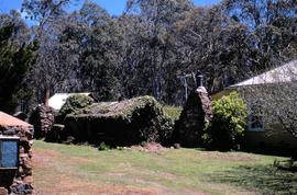 Steppes homestead