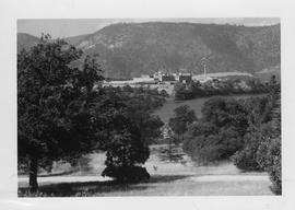 Stand of Trees and Factory