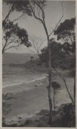 Coast view: East Coast Rocky Hills