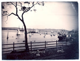 Hobart Regatta
