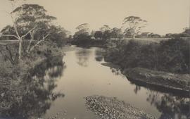 Meredith  River,  looking  upstream  to  Cambria