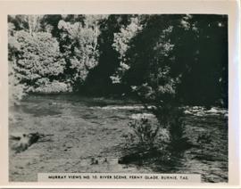 River scene, Ferny Glade, Burnie