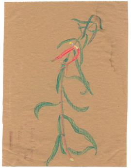 Unidentified