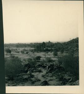 Arid Regions Native  Flora Reserve - photograph